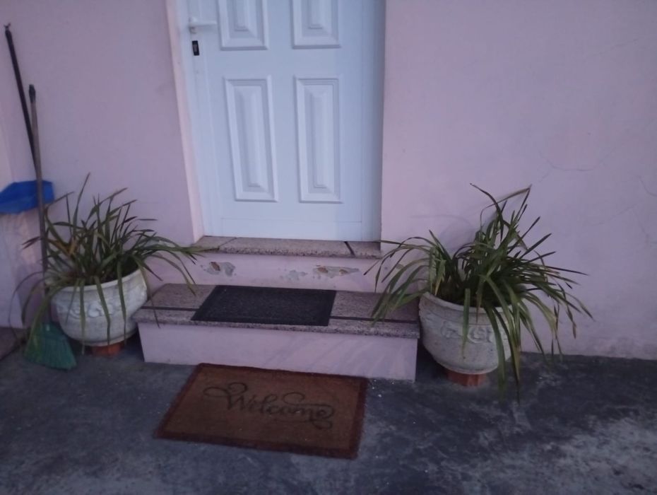 Vaso de pedra para jardim