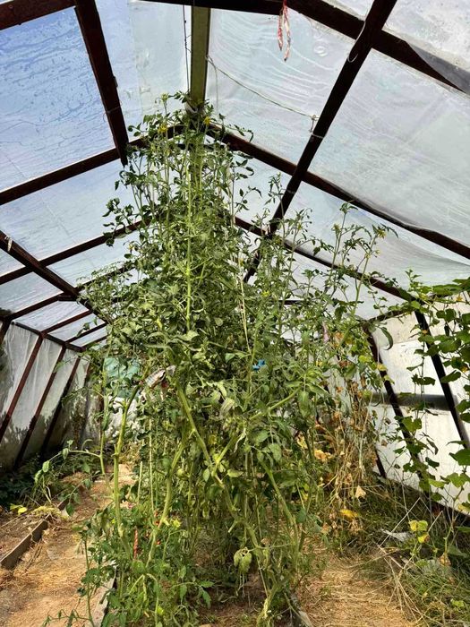 Продам будинок в селі Славне 4115