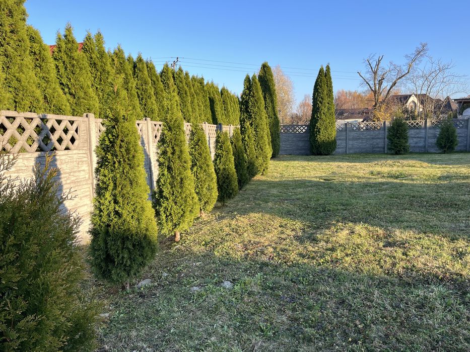 Porzadki Ogordnicze Uslugi Ogordnicze i Dzialkowe