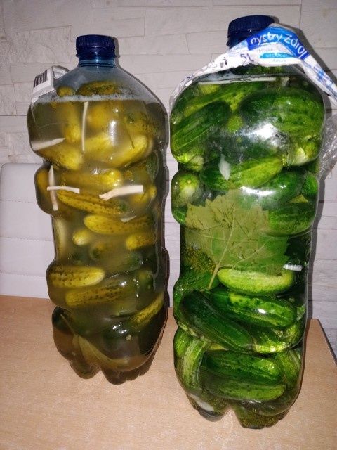 Ogórki kiszone tegoroczne