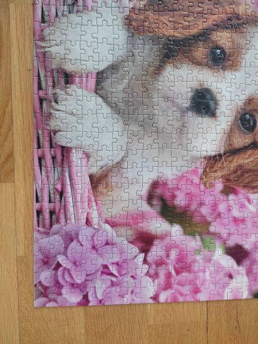 Puzzle 500 Pup in Pink Flowers / Szczenię w różowych kwiatach