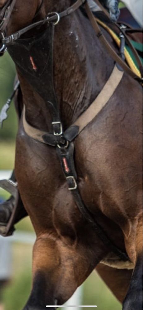 Napiersnik Equipe