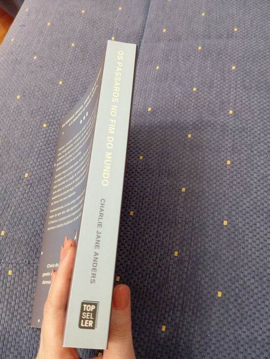 Os pássaros no fim do mundo - Charlie Jane Anders