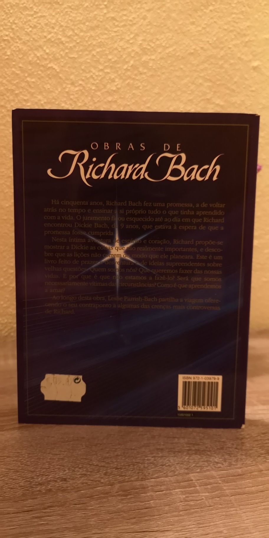 Livro Uma Aventura do Espírito de Richard Bach