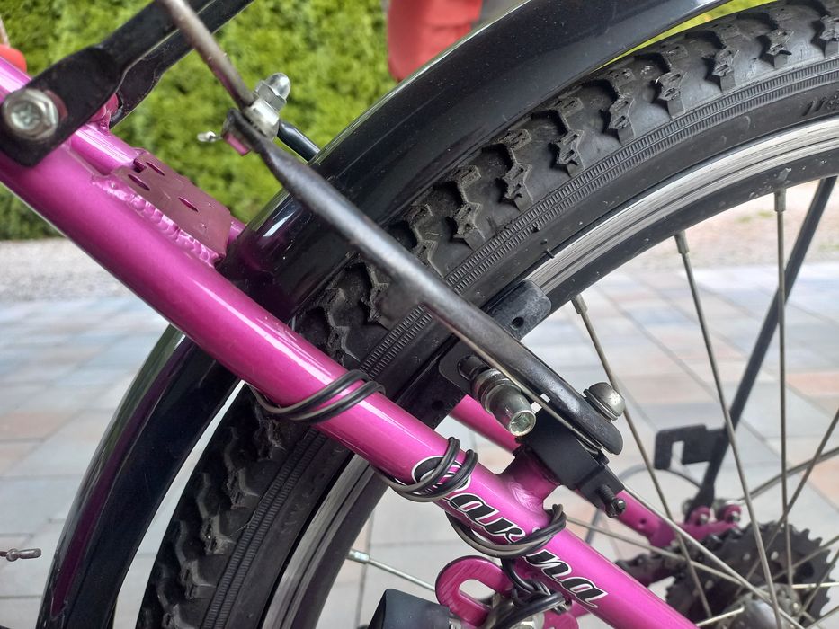 Rower dla dziewczynki Carina 24