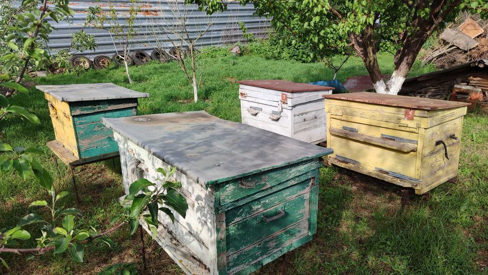 Вулики різні б/у