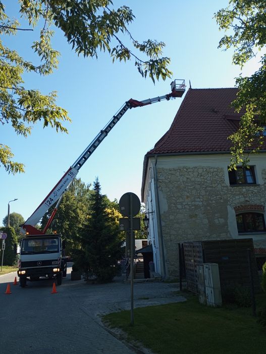 Wycinka drzew/Karczowanie/Rębak/Zwyżka/Malowanie/Mycie/Drewno opałowe