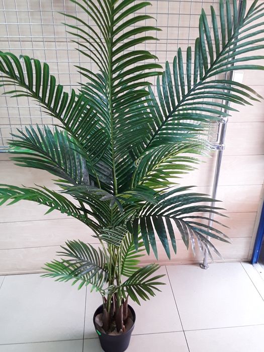 Sztuczna palma w doniczce
Cena 370 zł za sztukę. 

Palma ma