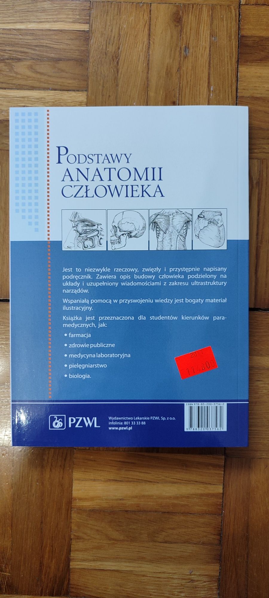 Podstawy anatomii człowieka