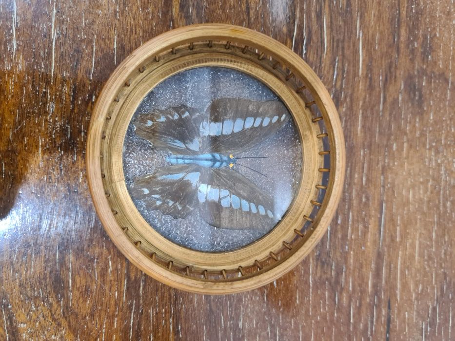 Bases copo vintage