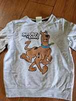 Szara bluza chłopięca ze Scooby-Doo 110 cm