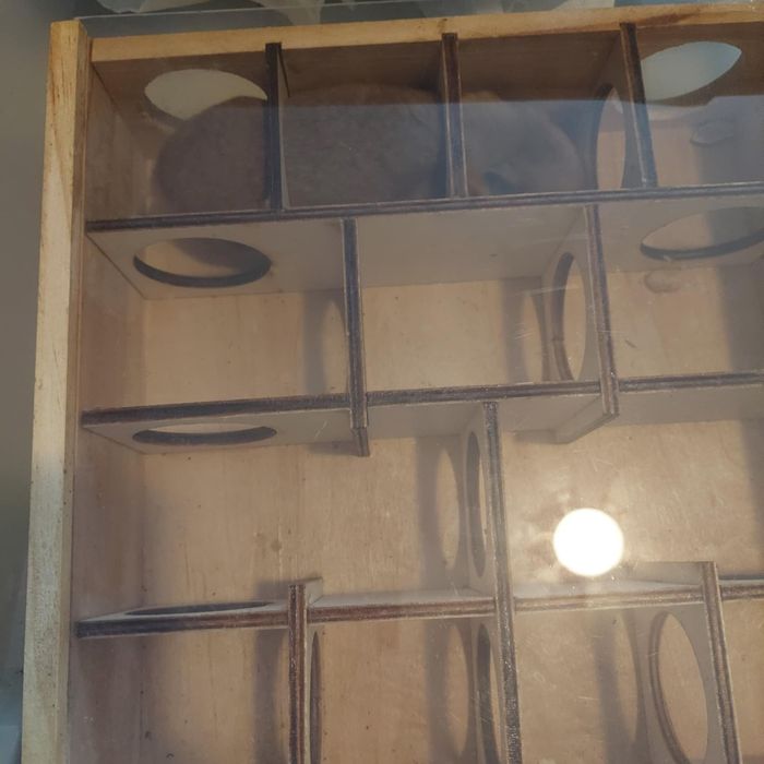 Labirynt dla chomika