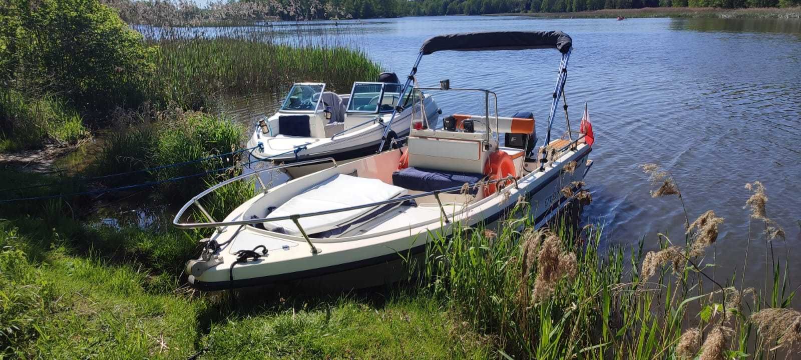 Łódź motorowa Torpedine 500, Evinrude 60, przyczepa podłodziowa