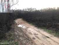 Terreno misto, c/ rio, Canedo, Giestal