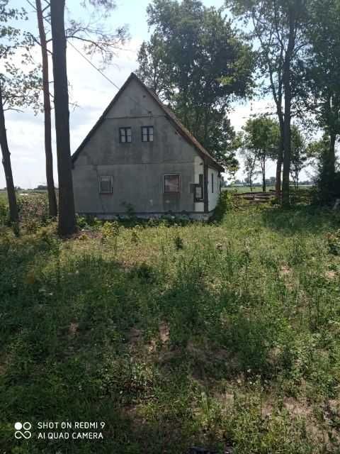 sprzedam działkę powierzchnia 5 000 m2 Zieleniew k. Kutno