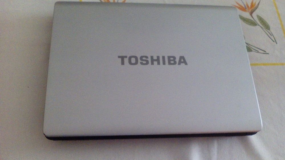 Toshiba Satélite L300