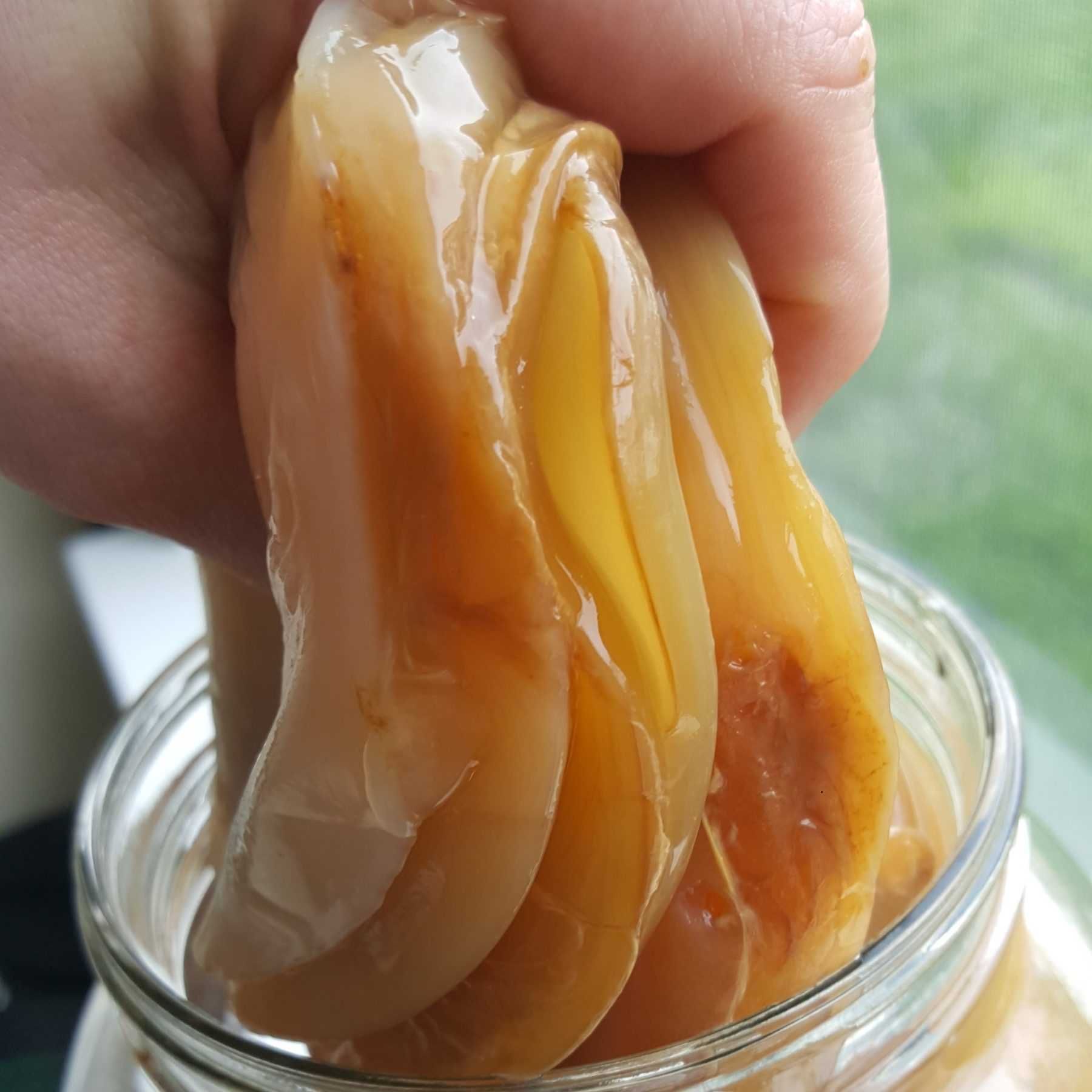 Kombucha scooby starter herbata słoik- jak z czym i dlaczego? Wawa