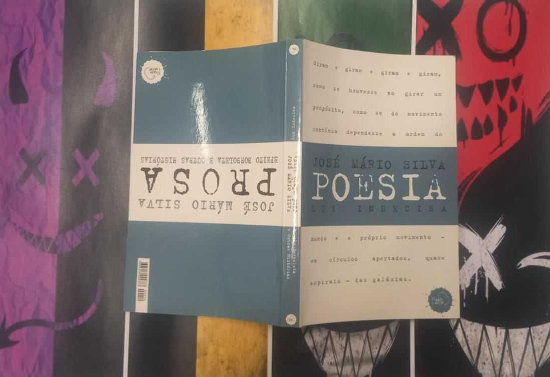 Livro Prosa+Poesia - Luz indecisa-Efeito borboleta e outras histórias