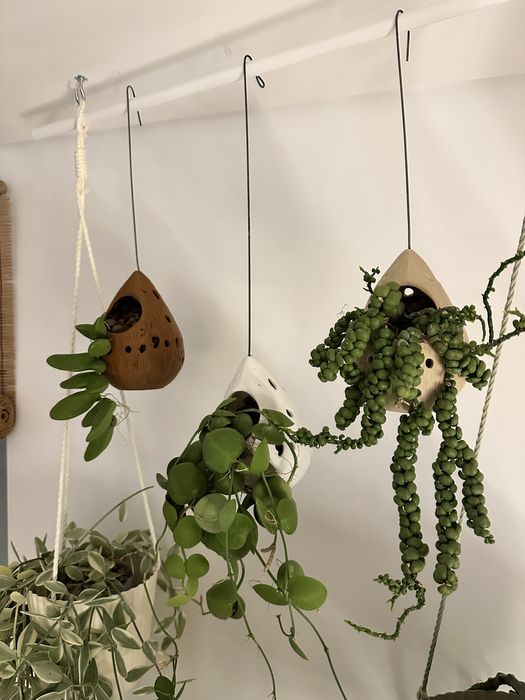 Cahepôt - Vaso - Castiçal pendente