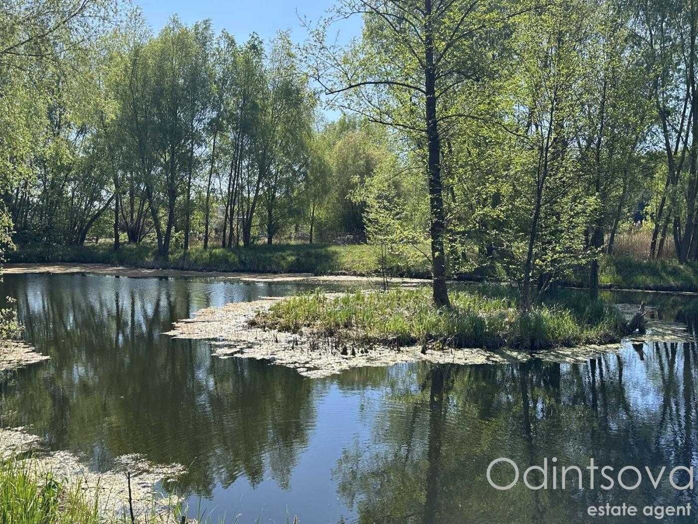 Земельна ділянка з власним озером у с. Застугна, Васильківський район