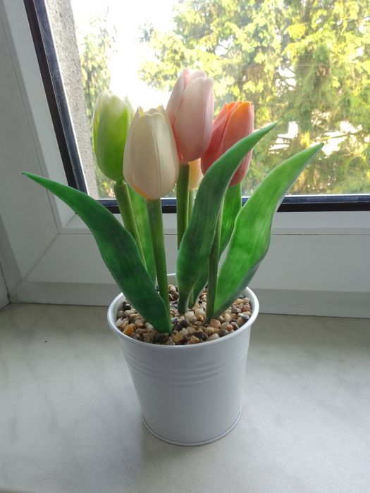 Kwiaty tulipany dekoracja w doniczce