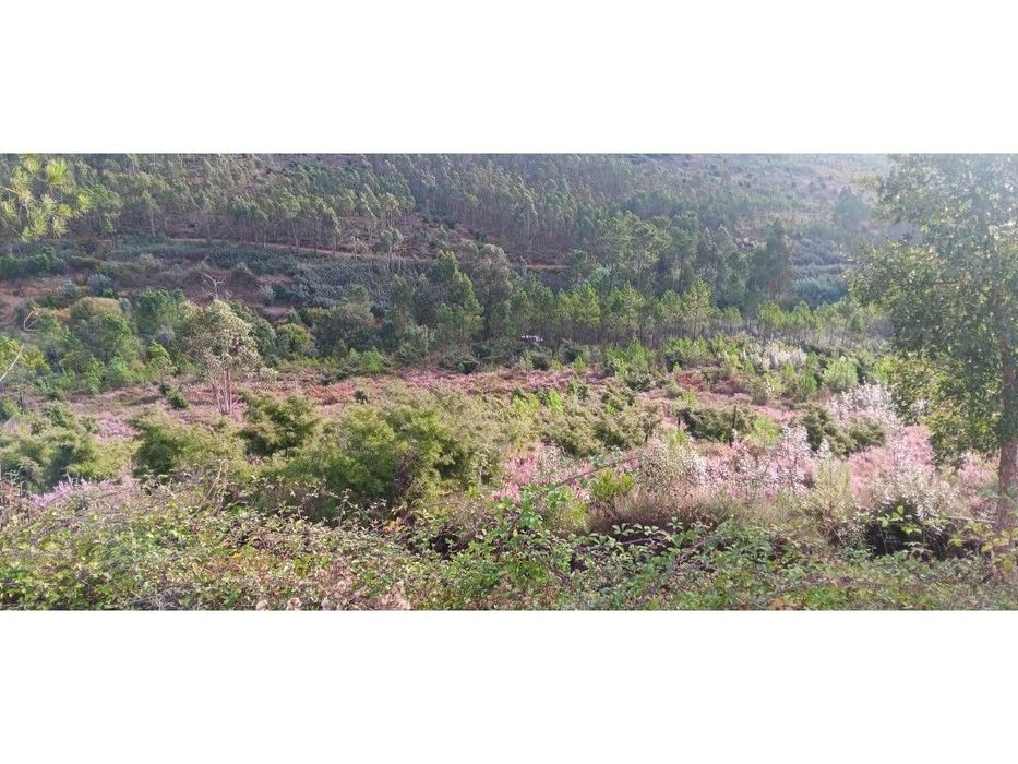 Terreno Rústico com 3.400 m² em Malhada, Caratão Mação