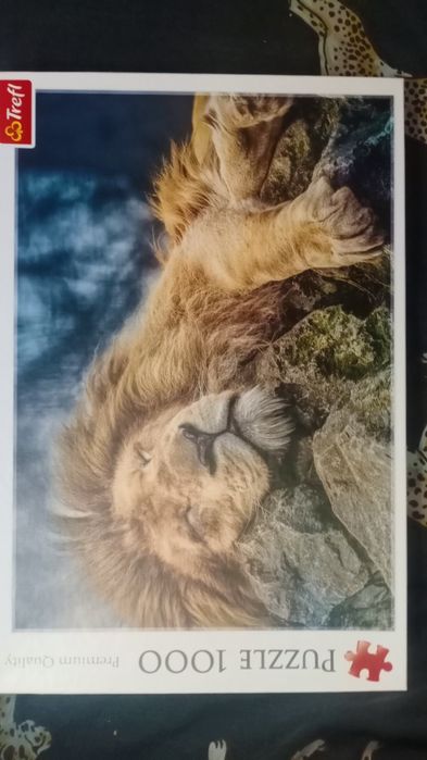 Пазлы,1000 castorland