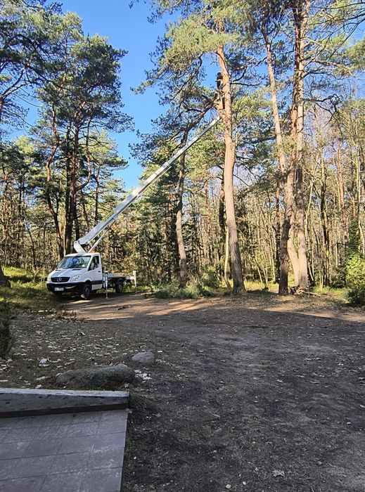 Wynajem podnośników koszowych,podnośnik zwyżka rębak wycinka drzew