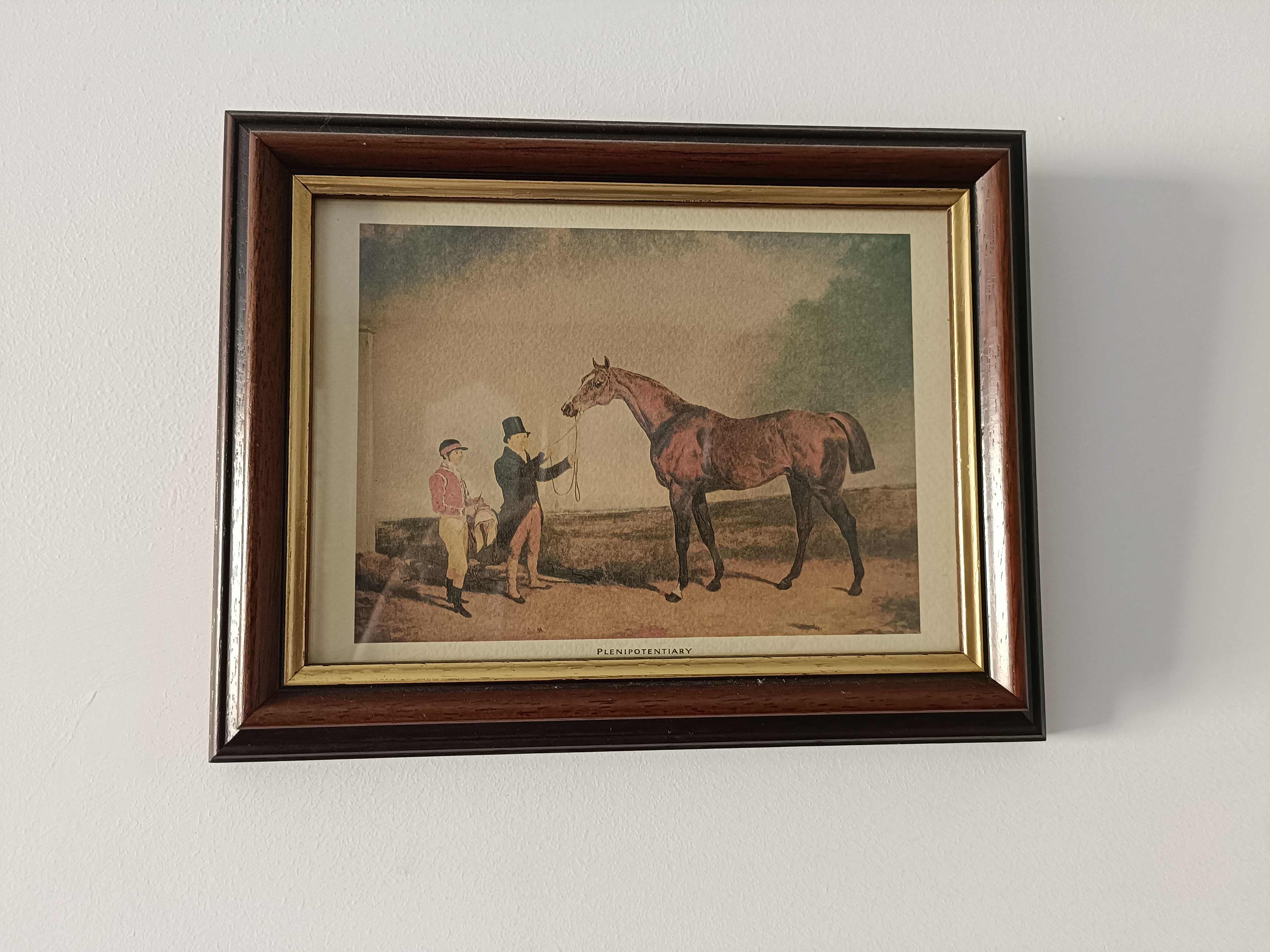 Conjunto de 3 quadros com animais e molduras clássicas