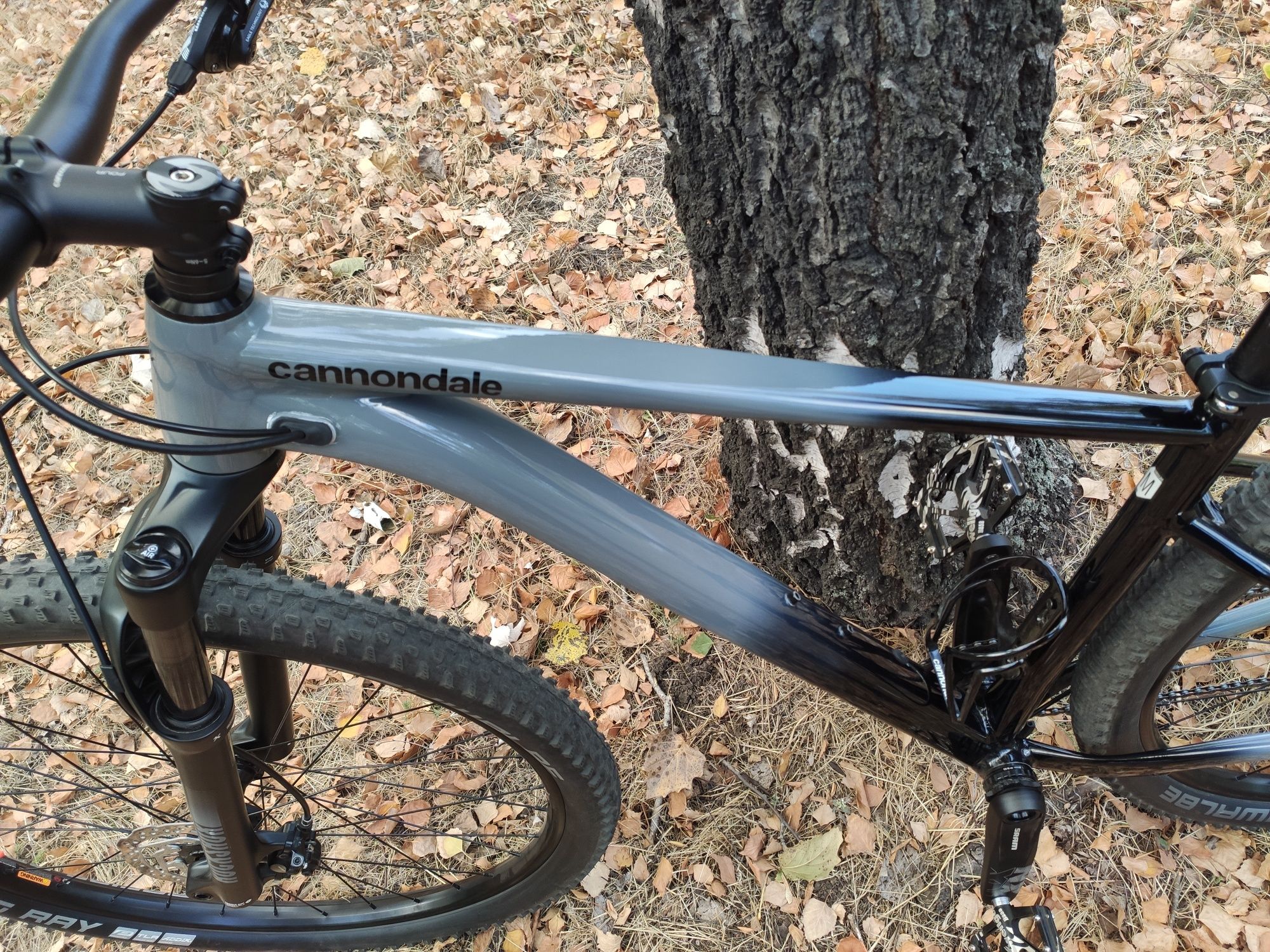 Саnnondale Trail SL 3