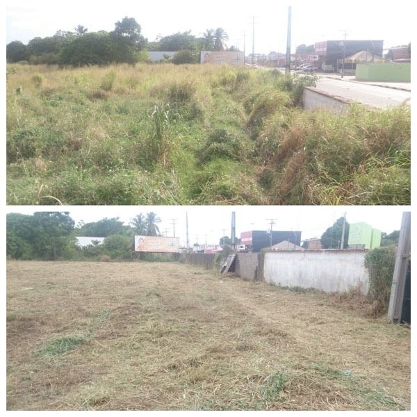 Limpeza de terrenos com Roçadora
