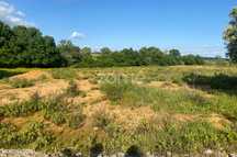 Terreno Industrial com 8200m2 para Venda