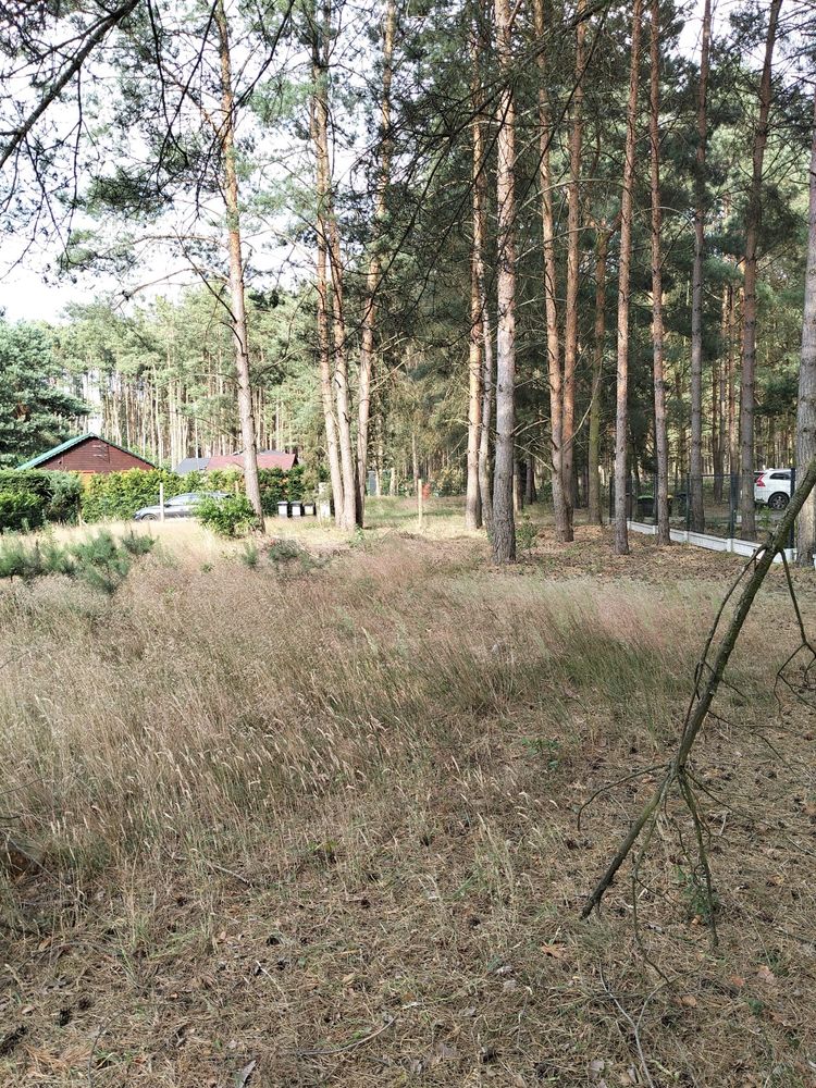 Dzialka rekreacyjna -Uscie (woj. Lubuskie)