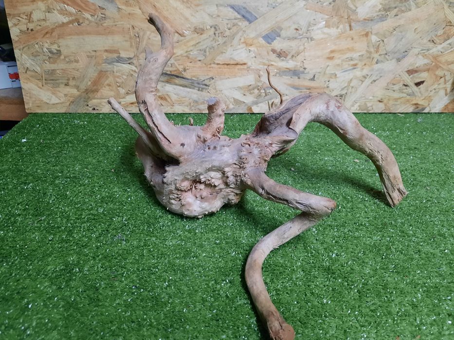 Korzeń do akwarium Red Moore Wood nr 971 o wymiarach 35/31/20