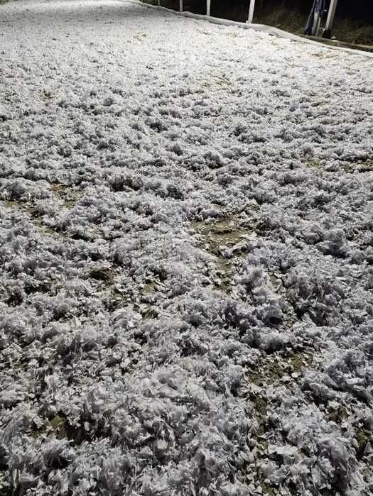 Podłoże jeździeckie na padok dla koni. Flizelina (białe,kolor,filc)