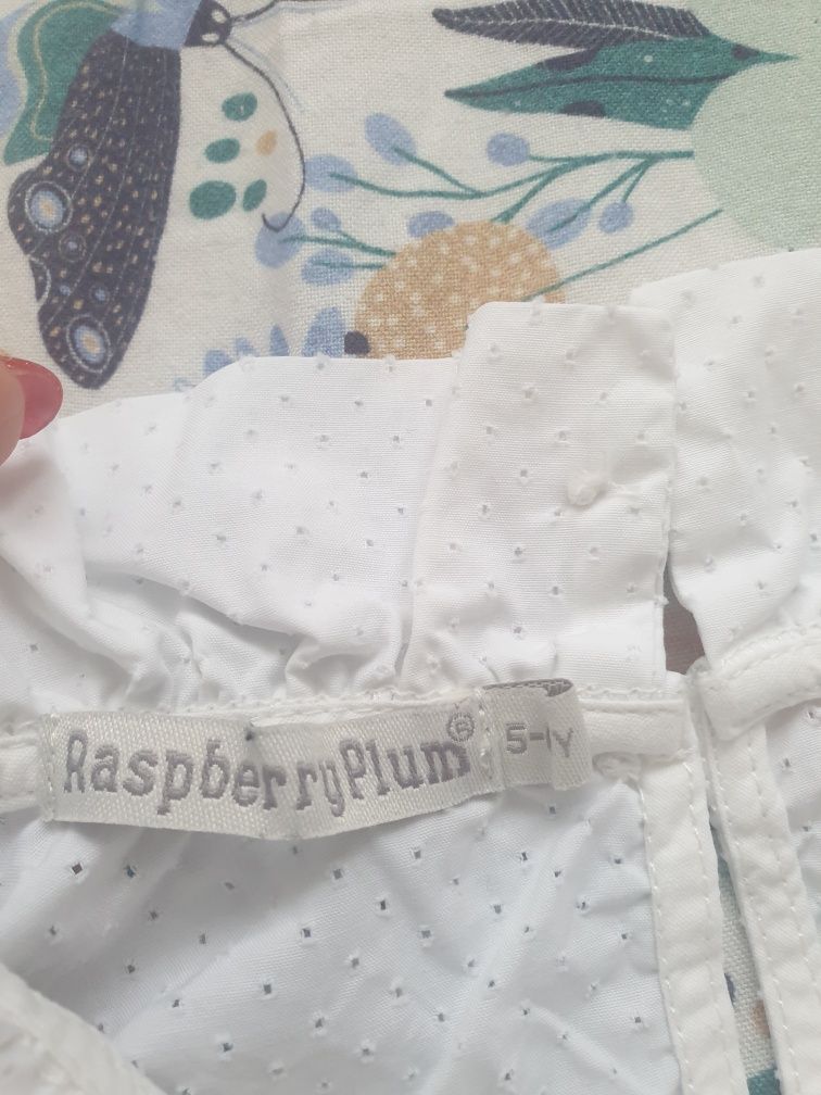 Koszula dziecieca Raspberry Plum