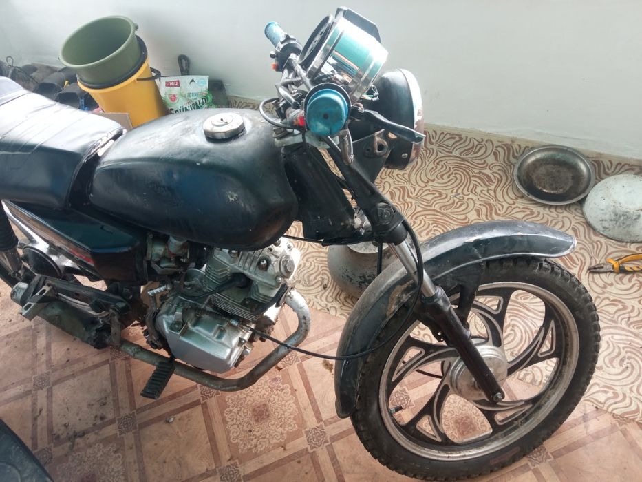 Продам Альфу_Мустанг_150см2