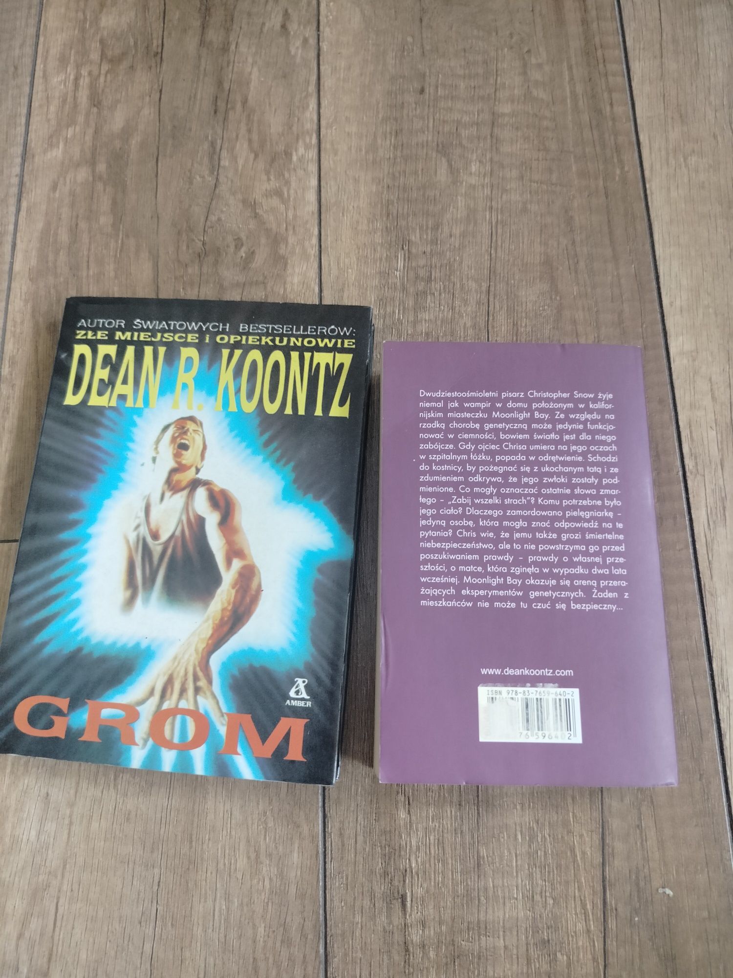 Dean Koontz zestaw 2 książek