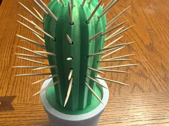 Porta Palitos de Cato com Vaso