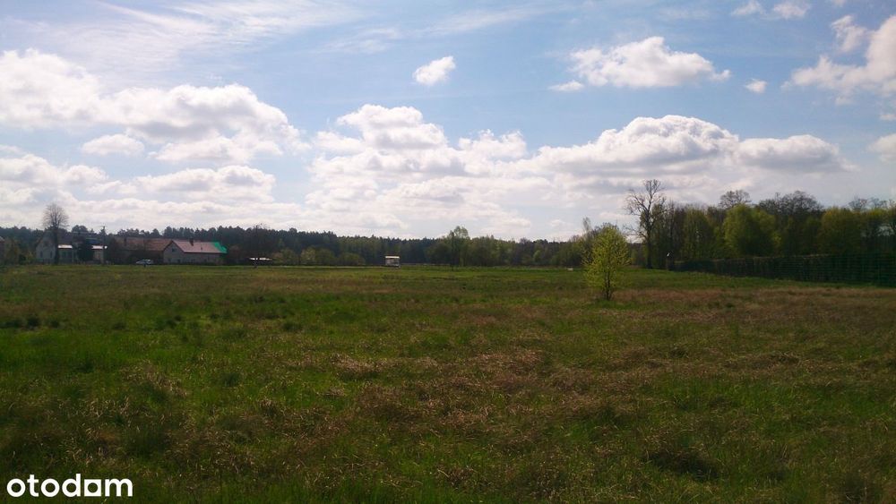 Sprzedam Działki Budowlane Lubsko - Chełm Żarski