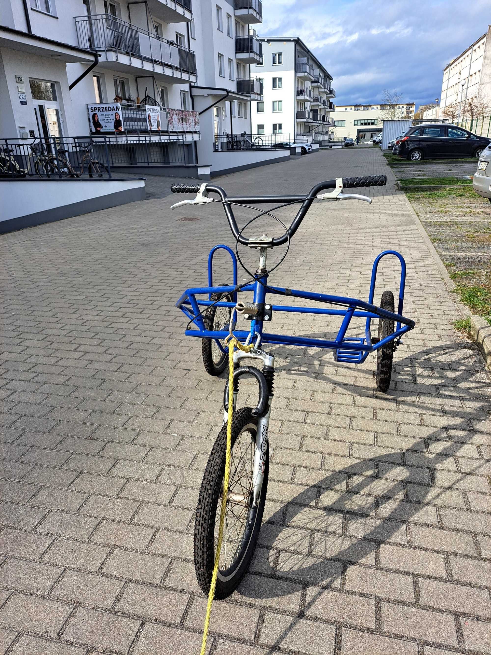Wózek trzy kołowy do psiego zaprzęgu