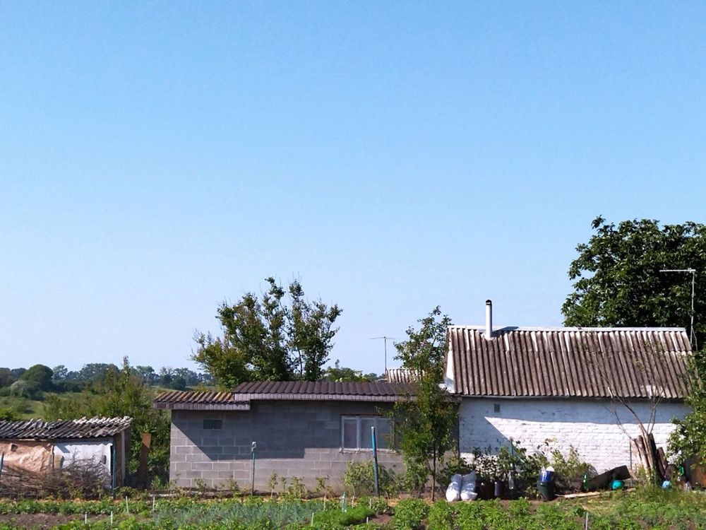 Дачна ділянка з городом, хатою, фруктовими деревами