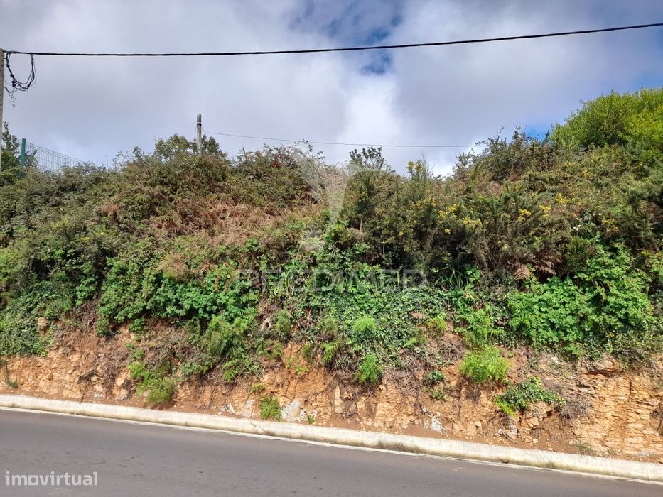 Terreno Rústico Camacha