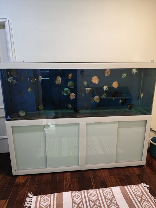 Aquário 700 litros