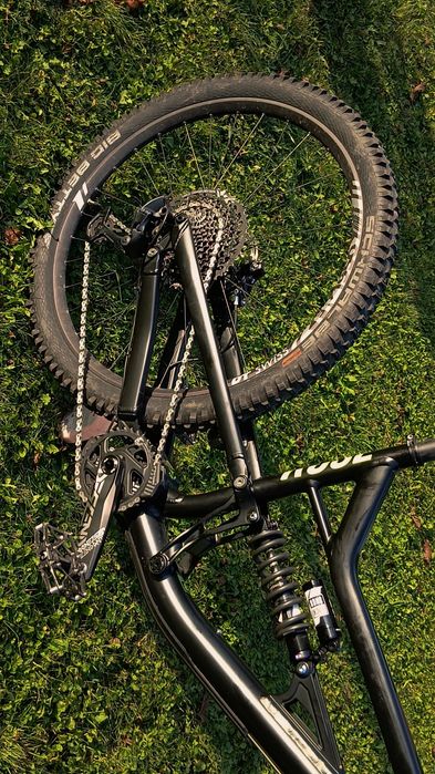 Rose Soul Fire 2023 L