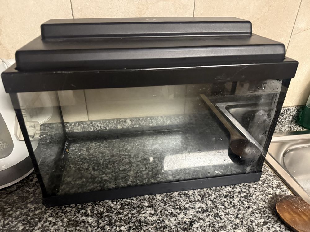 Aquario para peixes c/acessorios