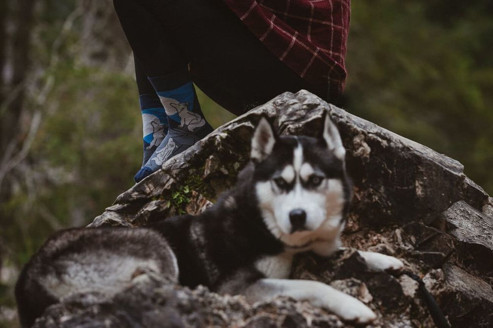 Wesołe skarpetki - O wilku mowa 44-46