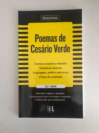 Resumos - Poemas de Cesário Verde - 11.º ano