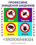 Знищення тарганів блох клопів щурів мишей комарів сколопендри кротів