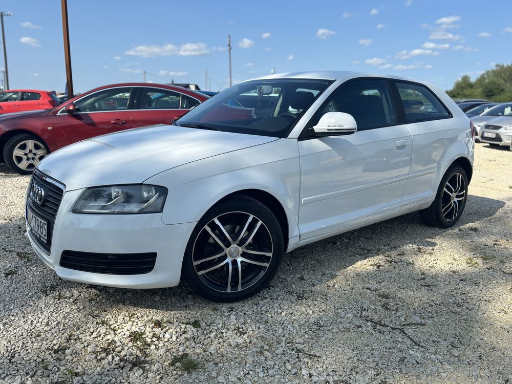 Audi A3 8P 1.6 MPI | 2009 | Bogate wyposazenie | Stan bardzo dobry